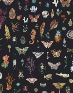 Specimens, Black