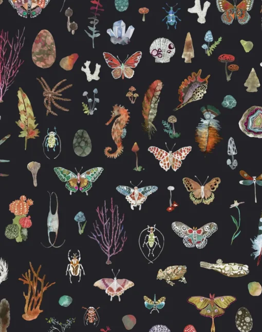 Specimens, Black