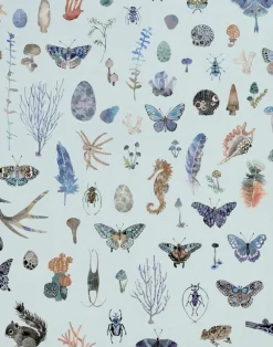Specimens, Blue