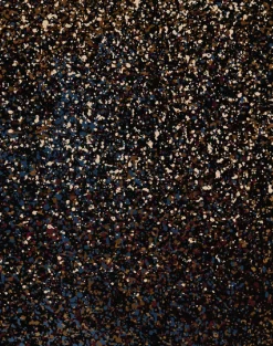 Stardust Night