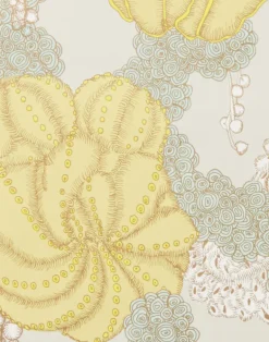 Succulent, Yellow