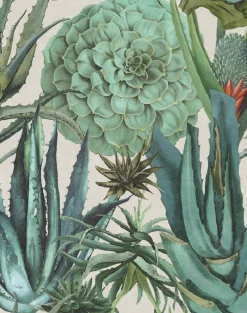 Succulents