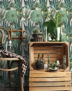 Succulents
