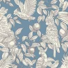 Talk about Cockatoos, Faded Denim