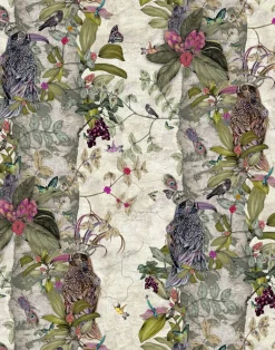 The Ravens, Cream