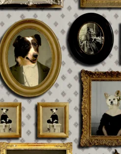 Top Dog, Cream