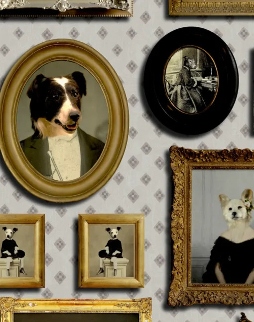 Top Dog, Cream