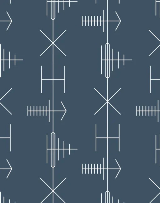 Transmission, Washed Denim