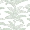Tropical Plantation, Quiet