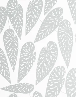 Tropics, Shaded