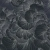 Venation, Royal