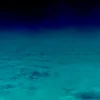 Whisper Above the Clouds, PM179-06