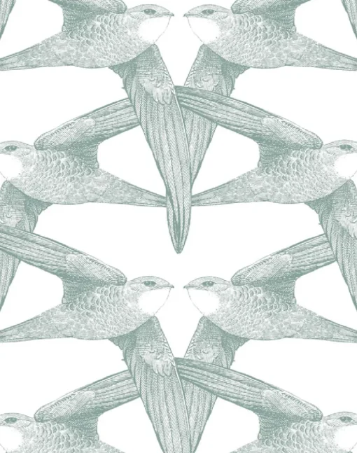 White Birds, Celadon