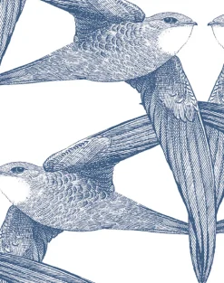 White Birds, Indigo