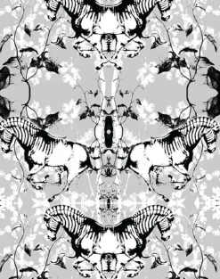 Zephyr
